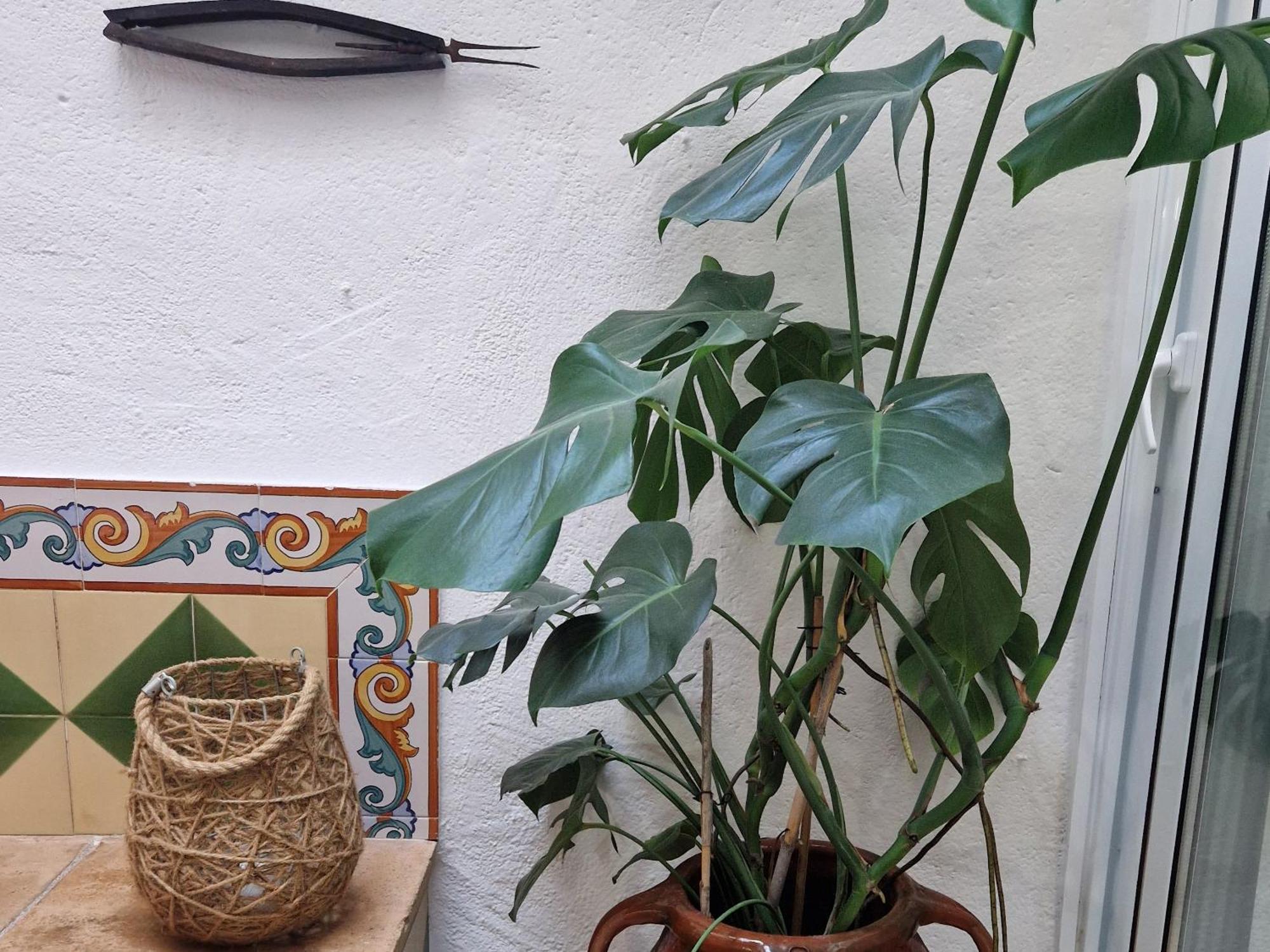Apartmán Ca La Teia Bellcaire d'Emporda Exteriér fotografie